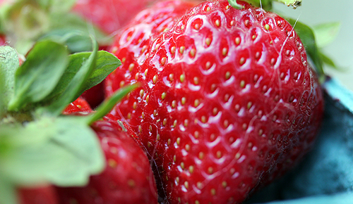 Sugartown Strawberries, Malvern