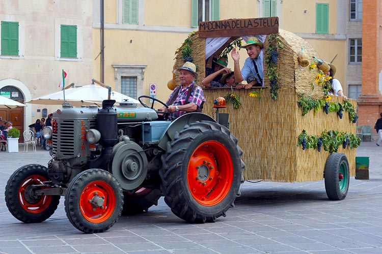 enologica montefalco vendemmia tractor
